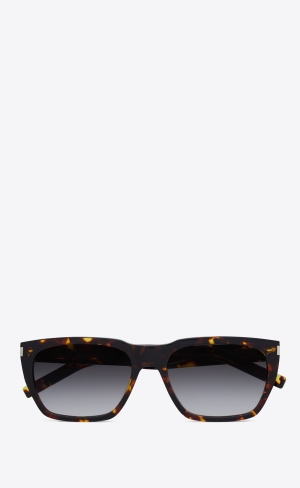 YSL Sl 598 Havana | 09238-AUCO