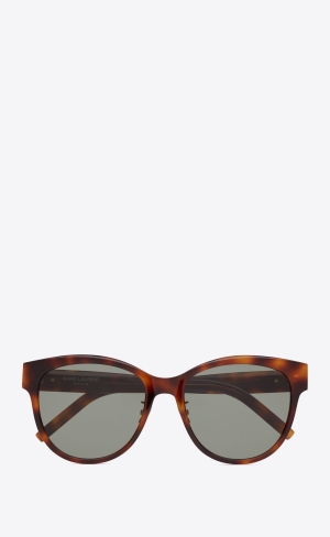 YSL Sl M107/K Medium Havana | 02475-GJAN